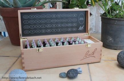 portada-floresdebach